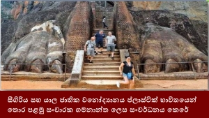 සීගිරිය සහ යාල ජාතික වනෝද්‍යානය ප්ලාස්ටික් භාවිතයෙන් තොර පළමු සංචාරක ගමනාන්ත ලෙස සංවර්ධනය කෙරේ