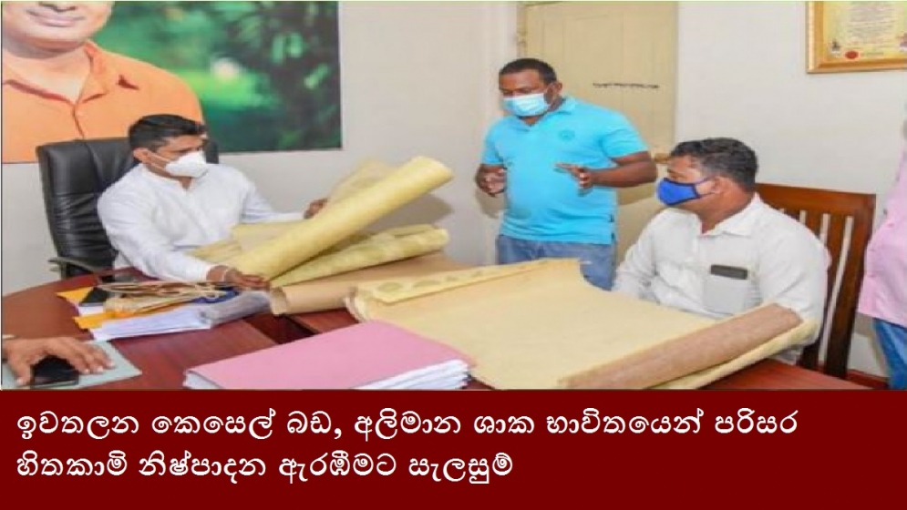 ඉවතලන කෙසෙල් බඩ, අලිමාන ශාක භාවිතයෙන් පරිසර හිතකාමි නිෂ්පාදන ඇරඹීමට සැලසුම්