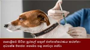 ගෘහාශ්‍රිතව සිටින සුරතල් සතුන් එන්නත්කරණය කරන්න- අධ්‍යක්ෂ මහජන සෞඛ්‍ය පශු වෛද්‍ය සේවා