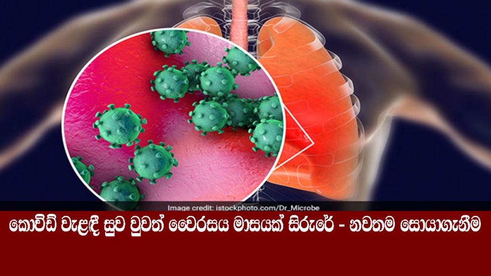 කොවිඩ් වැළඳී සුව වුවත් වෛරසය මාසයක් සිරුරේ - නවතම සොයාගැනීම