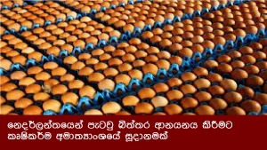 නෙදර්ලන්තයෙන් පැටවු බිත්තර ආනයනය කිරීමට කෘෂිකර්ම අමාත්‍යාංශයේ සූදානමක්