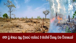 ගත වූ මාසය තුල දිනකට අක්කර 3 බැගින් විශාල වන විනාශයක්