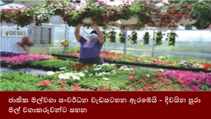 ජාතික මල්වගා සංවර්ධන වැඩසටහන ඇරඹෙයි - දිවයින පුරා මල් වගාකරුවන්ට සහන