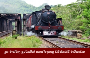 දූත මණ්ඩල ප්‍රධානීන් පනස් දෙනෙකු වයිස්රෝයි චාරිකාවක