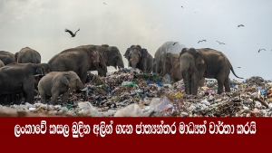 ලංකාවේ කසල බුදින අලින් ගැන ජාත්‍යන්තර මාධ්‍යත් වාර්තා කරයි.