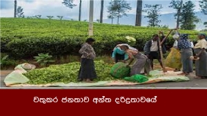 වතුකර ජනතාව අන්ත දරිද්‍රතාවයේ