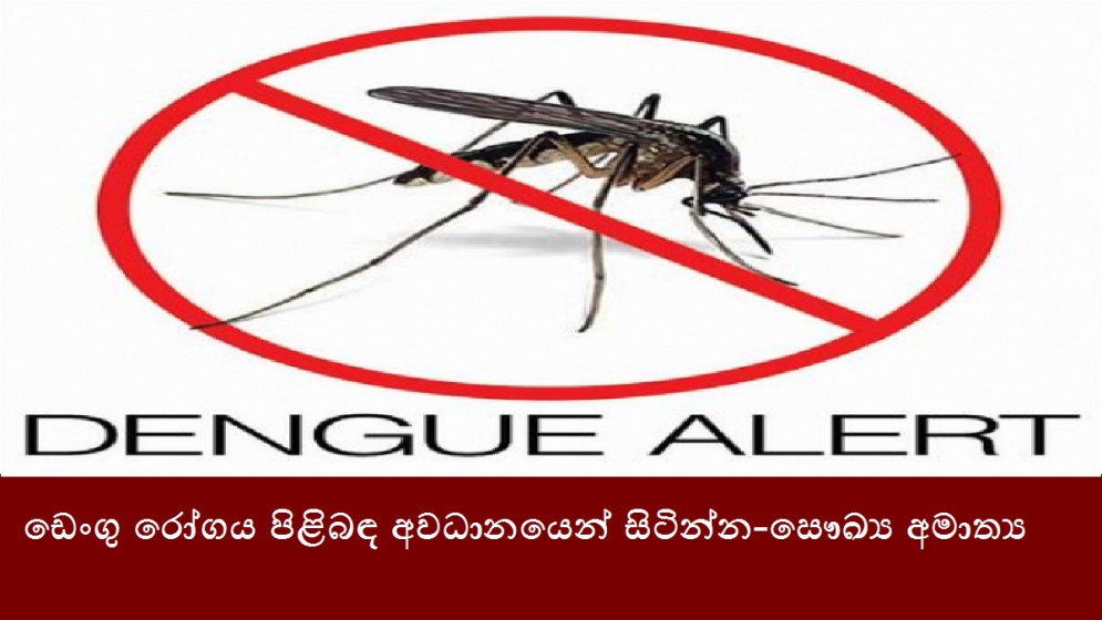 ඩෙංගු රෝගය පිළිබඳ අවධානයෙන් සිටින්න-සෞඛ්‍ය අමාත්‍ය